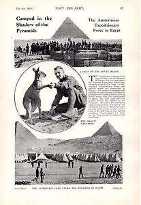 Australian Army Kangaroo Logo - WWI AUSTRALIAN ARMY IN EGYPT CAMP UNDER PYRAMIDS KANGAROO