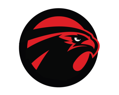 NFL Falcons Logo - The Falcoholic, an Atlanta Falcons community