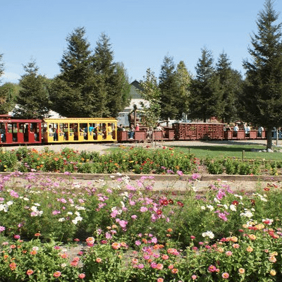 Flower Farm in California Logo - Choose and Cut Flowers at Bishop's Pumpkin Farm in Wheatland, California