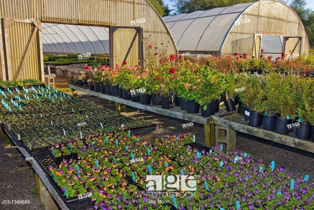 Flower Farm in California Logo - Greenhouses on organic flower farm, Humboldt County, California