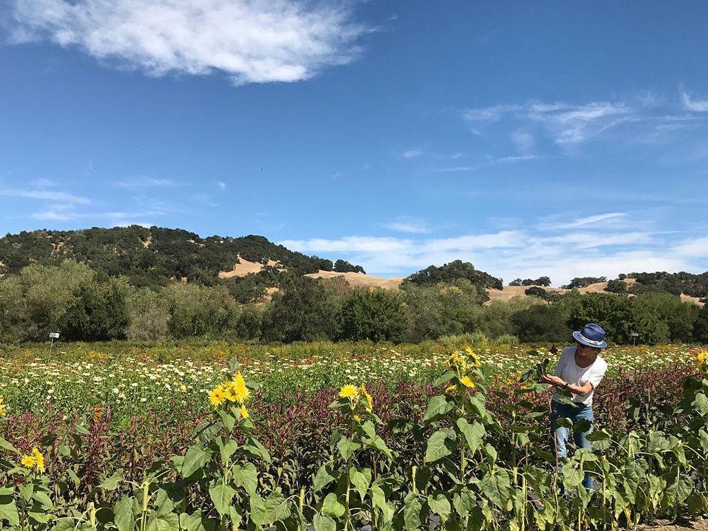 Flower Farm in California Logo - McQueens Announces Course Dates for 2018 with Russian River Flower ...