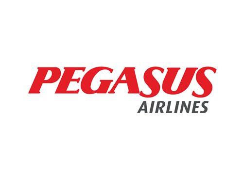 Flying Pegasus Logo - Announcements