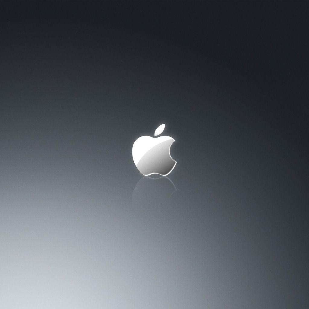 Grey Apple Logo - Grey Apple Logo iPad Wallpaper