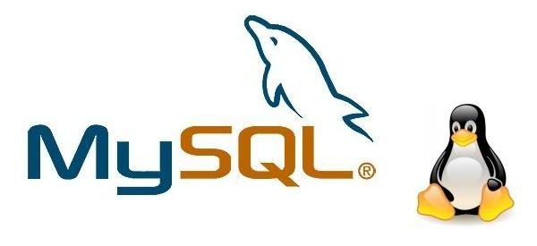 MySQL Logo - HOW-TO: MYSQL database remote backup script « Dangerous Prototypes