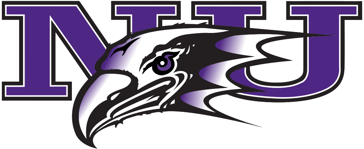 Lady Eagles Basketball Logo - Niagara Purple Eagles