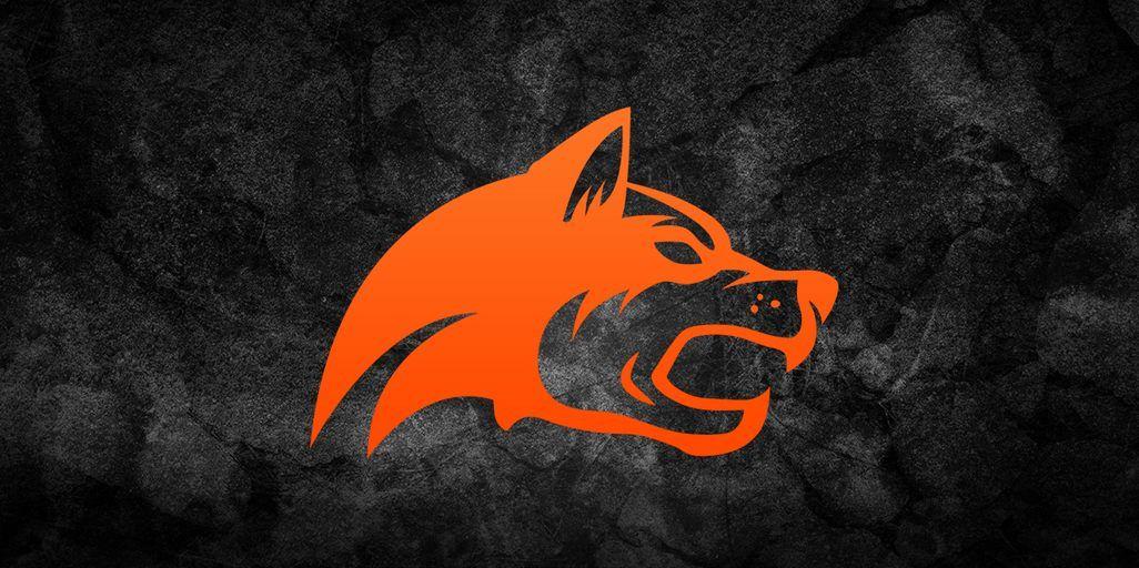Orange Wolf Logo - ESPORTS — Robert Bowling