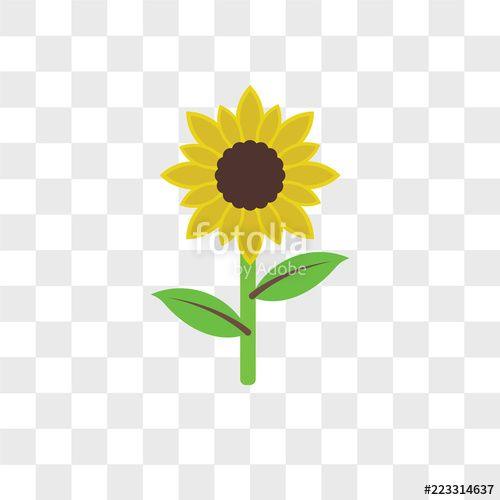 Sunflower Logo - Sunflower vector icon isolated on transparent background, Sunflower