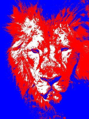 Red and Blue Lion Logo - A few picture