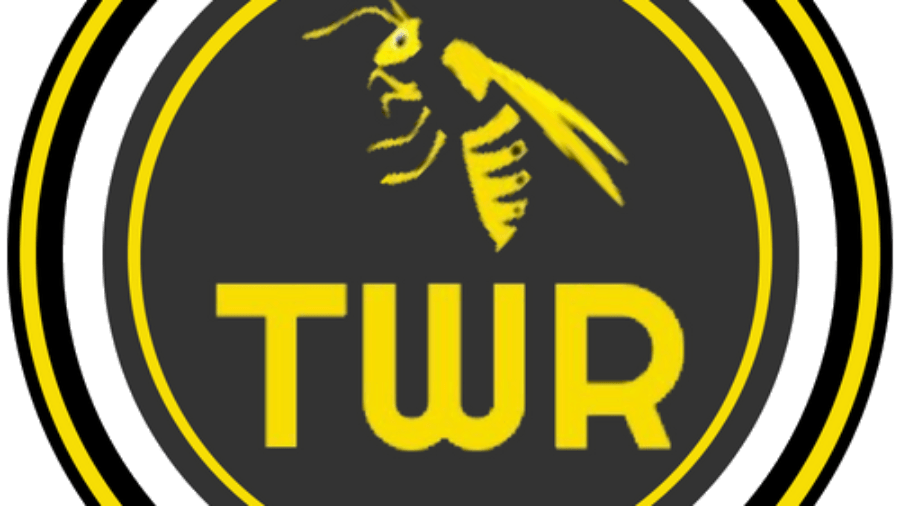 New Gallagher Logo - Around the Gallagher Premiership: Round 1 – The Wasps Report