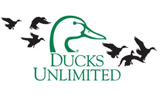 Ducks Unlimited Logo - Ducks Unlimited City.S. Fish and Wildlife Service
