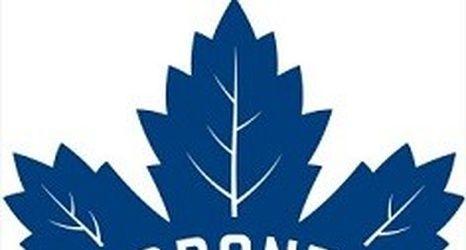 New Maple Leafs Logo - Things overheard during the Maple Leafs new logo design meetings