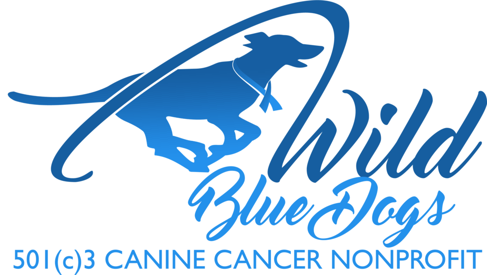 Blue Dog Logo - Wild Blue Dogs, A 501(c)3 nonprofit for Canine Cancer Treatment