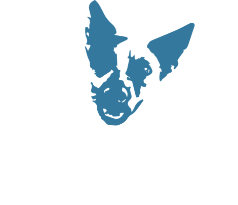Blue Dog Logo - Blog. Blue Dog Media