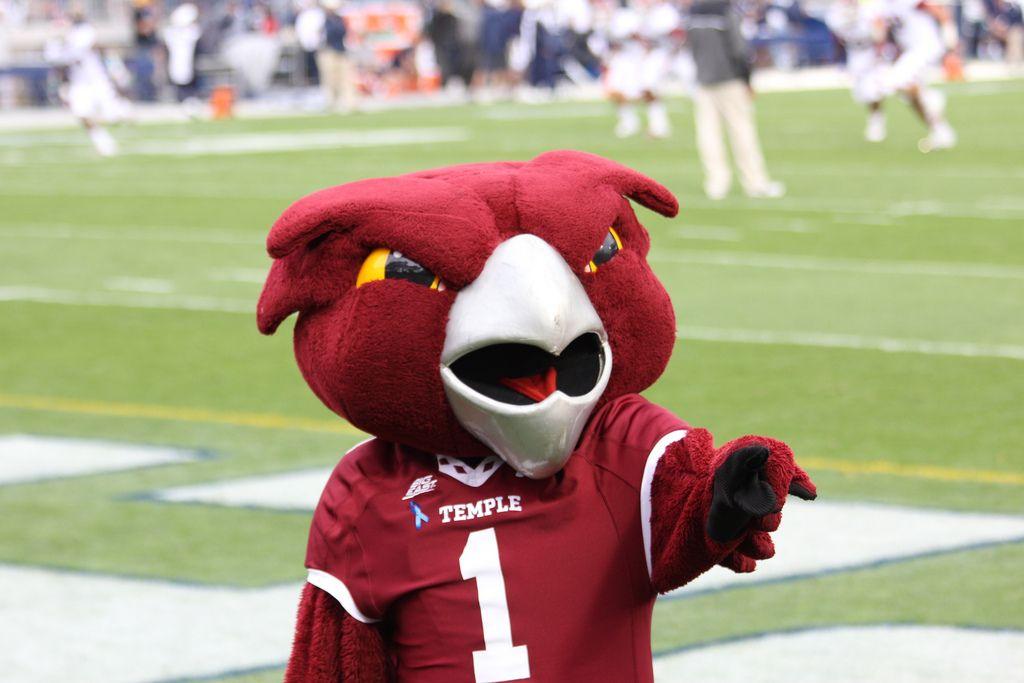 Temple Owls Logo - DEBATE: Should Temple University Change Controversial Owls Logo ...