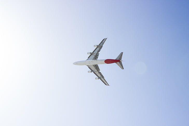Red and Blue Airplane Logo - Royalty-Free photo: White Black and Red Jet at Daytime | PickPik