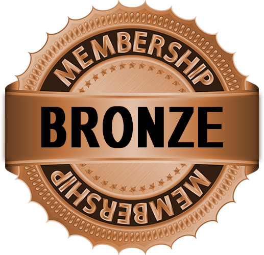 Bronze Logo - Bronze Sponsorship