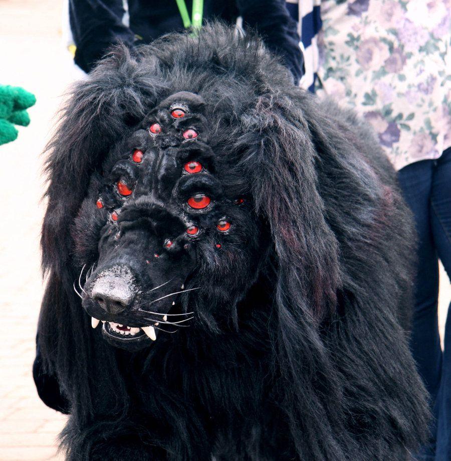 Red and Black Dog Logo - Black Dog | Fae Forensics
