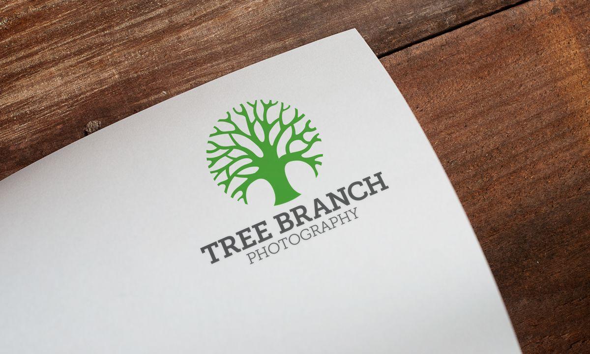 Tree Branch Logo - Tree Branch Photography | Logo Design - DESIGN NINJAZ