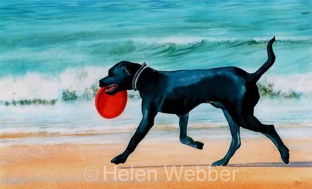 Red and Black Dog Logo - Painting, Helen Webber, Black Dog Red Frisbee