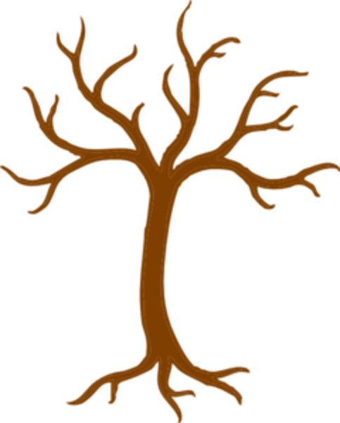 Tree Branch Logo - Tree Trunk And Branches Md. Free Image clip