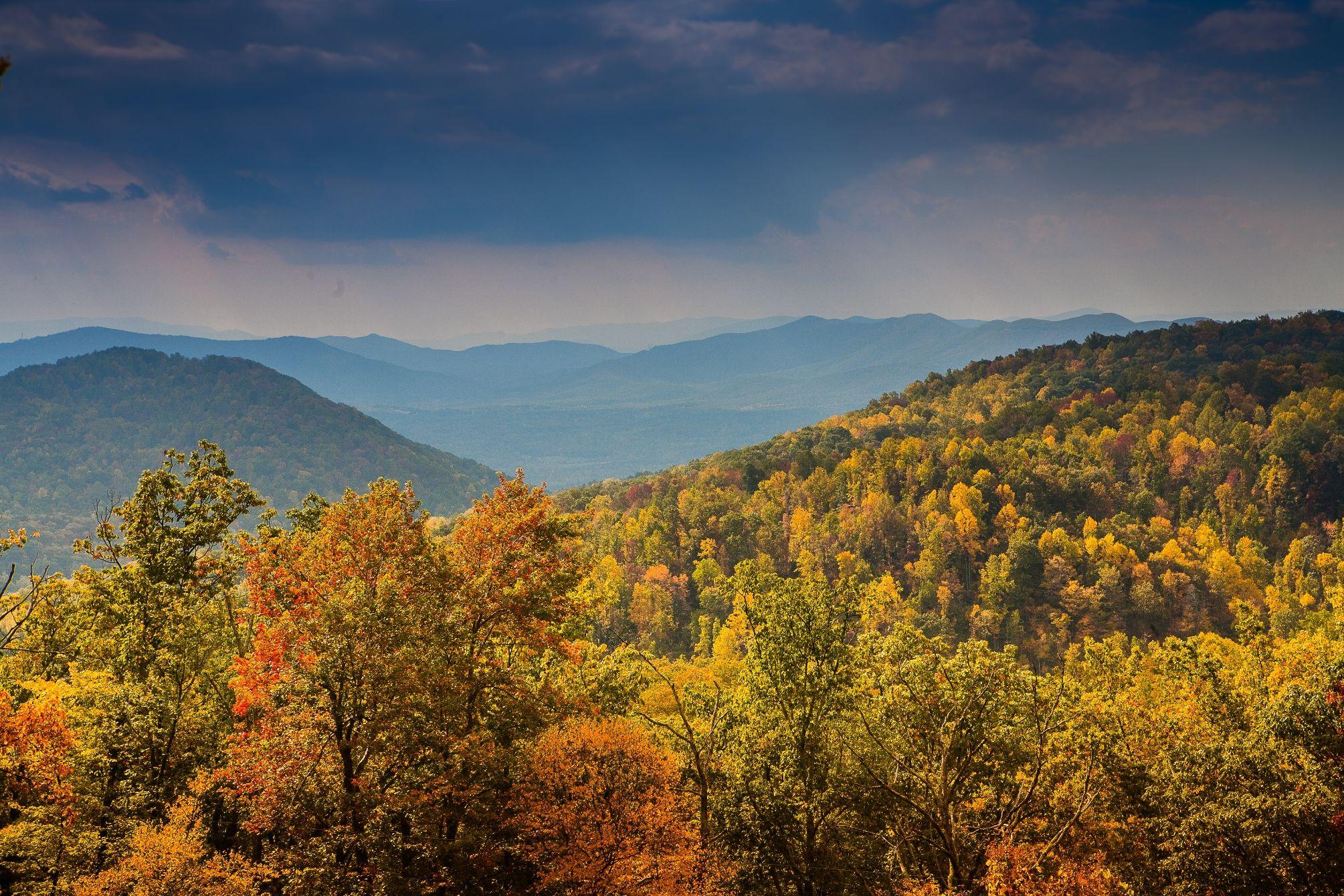 Blue Ridge Mountain Range Logo - Fall Color in the Blue Ridge Mountains