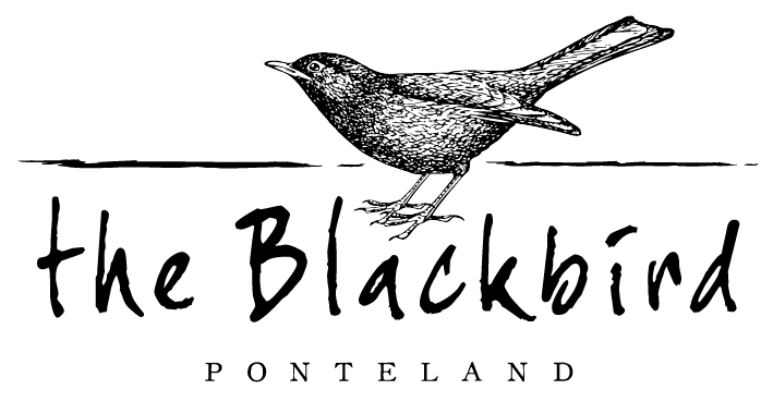 Red and Black Bird Restaurant Logo - Restaurant Menu | The Blackbird Ponteland