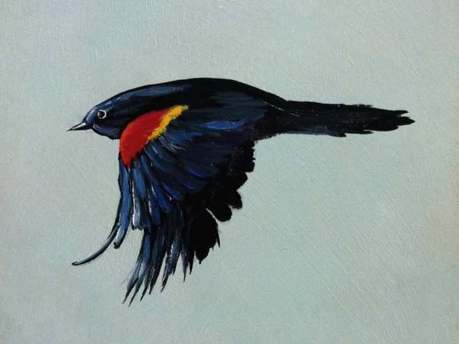 Red and Black Bird Restaurant Logo - Alison Fowler's Red Winged Blackbird, From The Fundraiser And Art