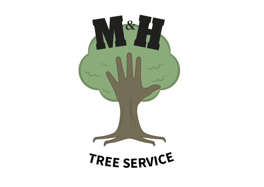Tree H Logo - Tree Removal & Trimming Denver CO | M & H Tree Service