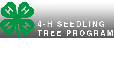 Tree H Logo - 4-H Trees