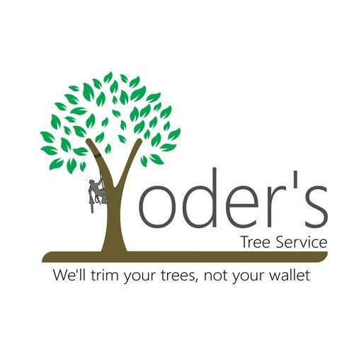 Tree Service Logo - Tree Service | Logo design contest