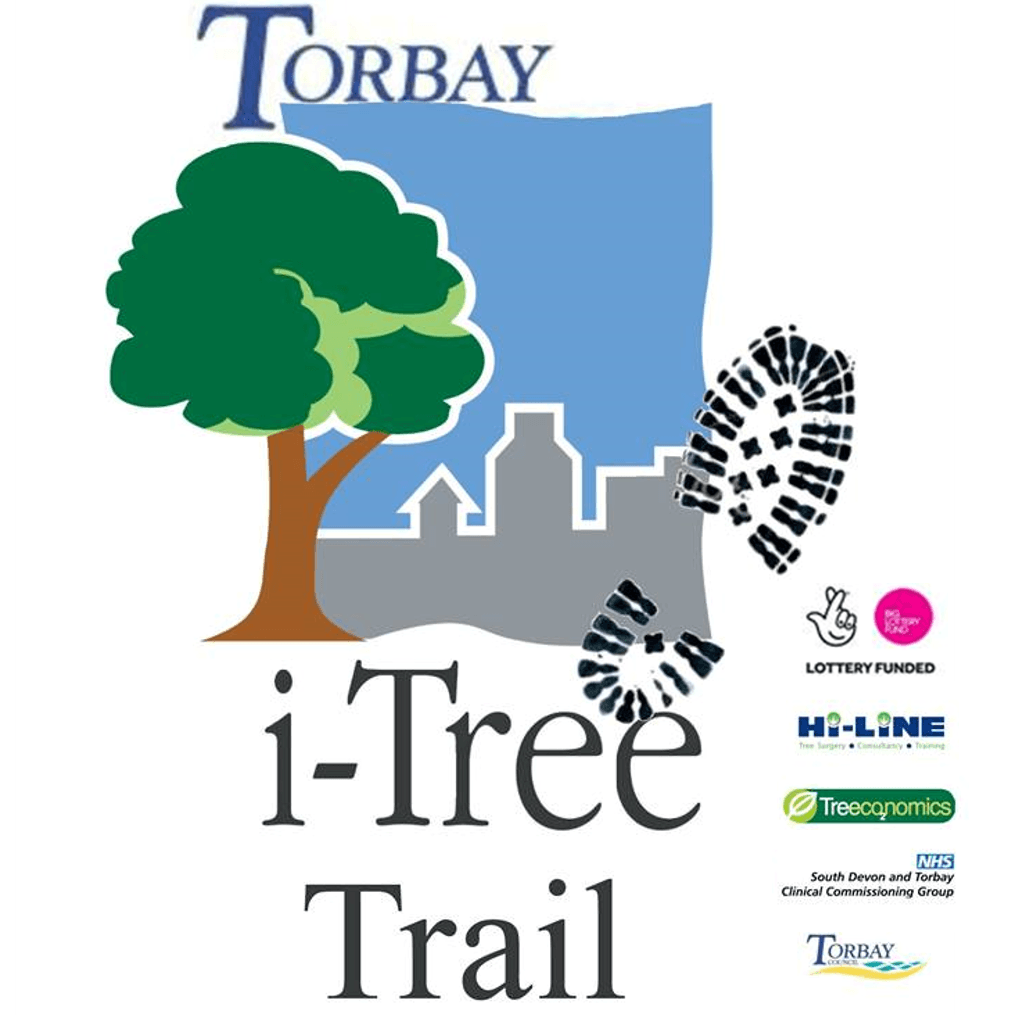 Tree H Logo - Torbay launches three tree trails | Landscape Institute