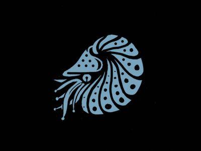 Nautilus Logo - Nautilus logo by brandosaur | Dribbble | Dribbble