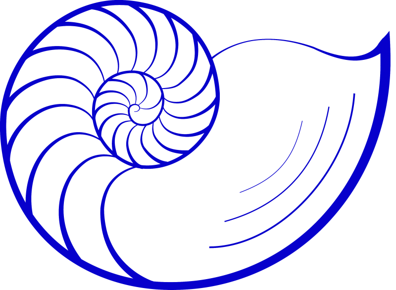 Nautilus Logo - nautilus logo solo -