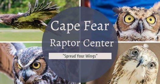 Fear Owl Eye Logo - Cape Fear Raptor Center, Inc