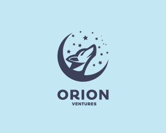 Orion Logo - Logopond, Brand & Identity Inspiration (ORION)