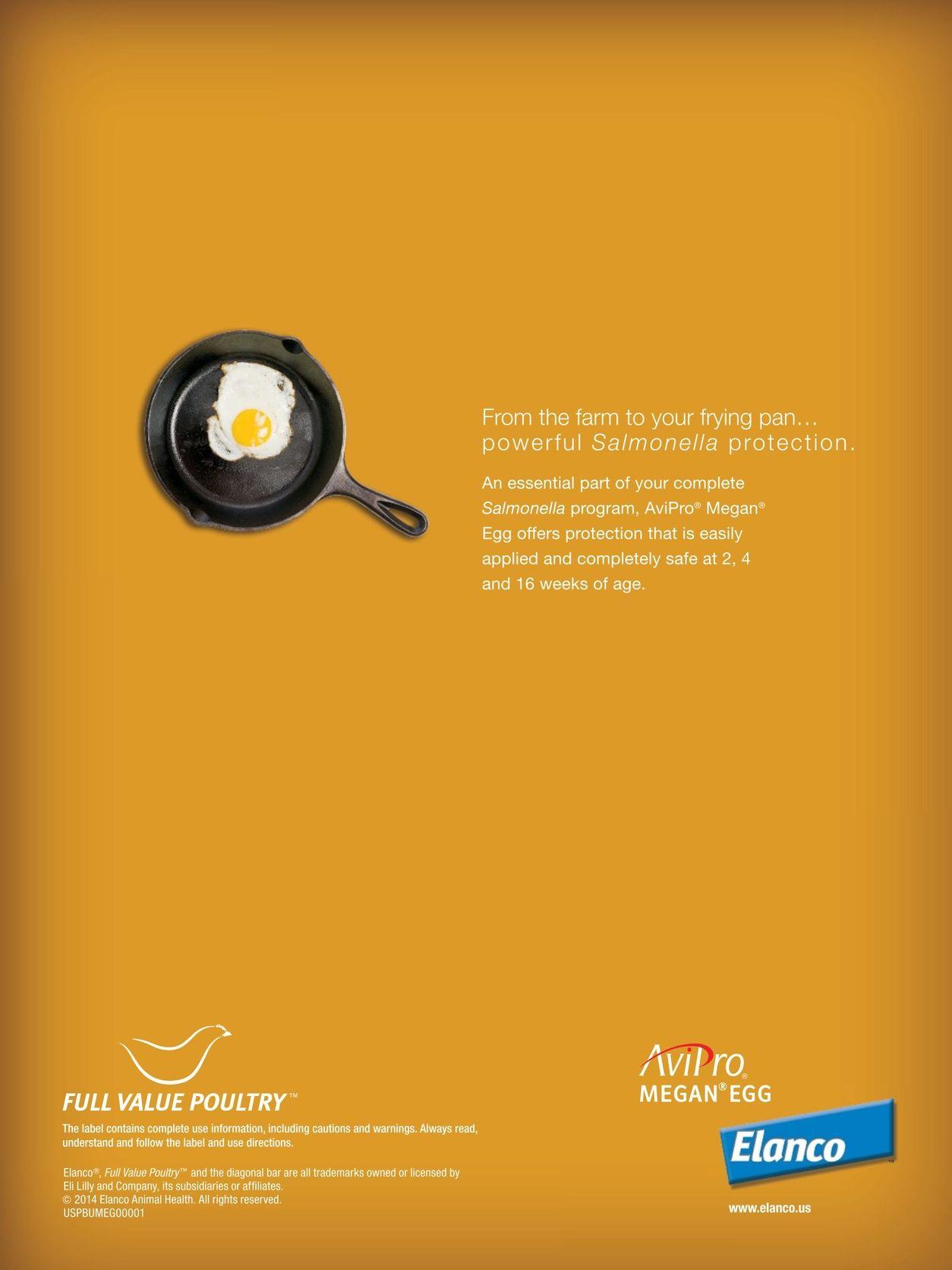 Safe Egg Logo - Egg Industry - June 2015