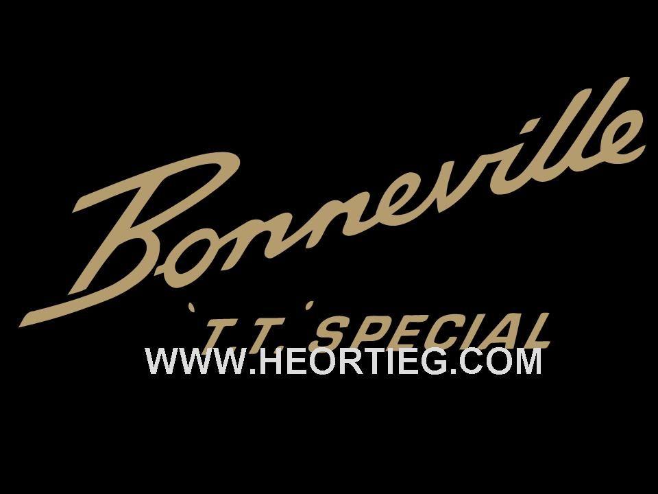 Triumph Bonneville Logo - TRIUMPH TRANSFERS BONNEVILLE T120 TT SPECIAL SIDE PANEL TRANSFER ...