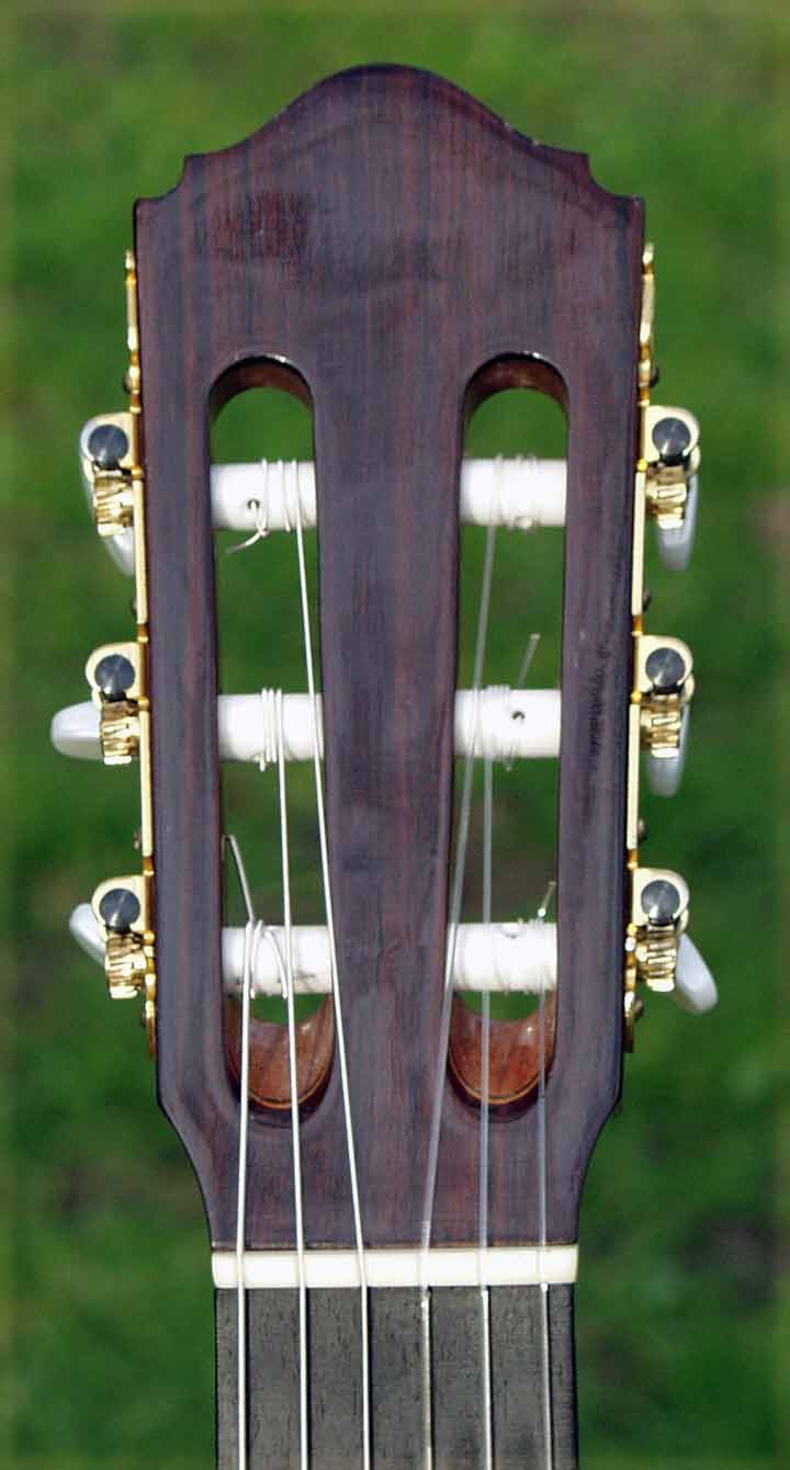 Banjo Headstock Logo - Acoustic Masters - Headstock