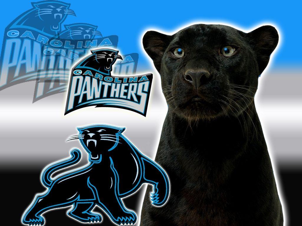 NFL Panthers Logo - carolina panthers logo 1 7ne6igzun0 1024x768 photo
