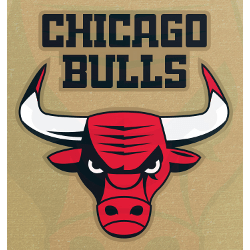 Chicago Bulls Logo - Chicago Bulls Concept Logo. Sports Logo History