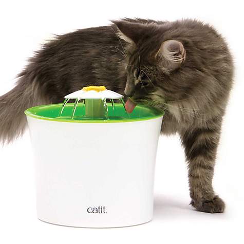 Petco Cat Logo - Catit Flower Cat Water Fountain | Petco