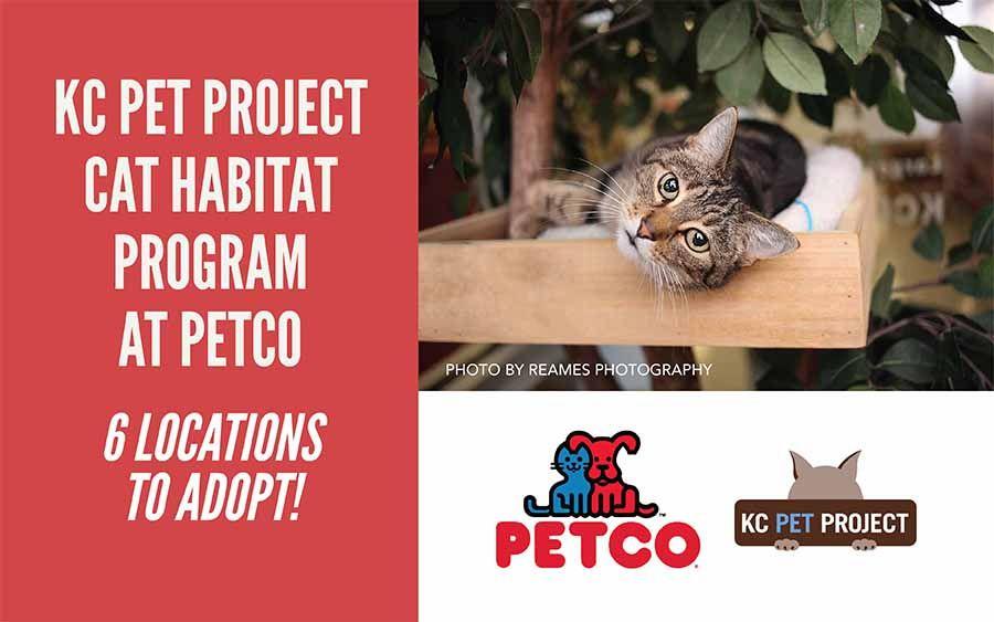 Petco Cat Logo - Adopt a Kitty from our Petco Locations • KC Pet Project