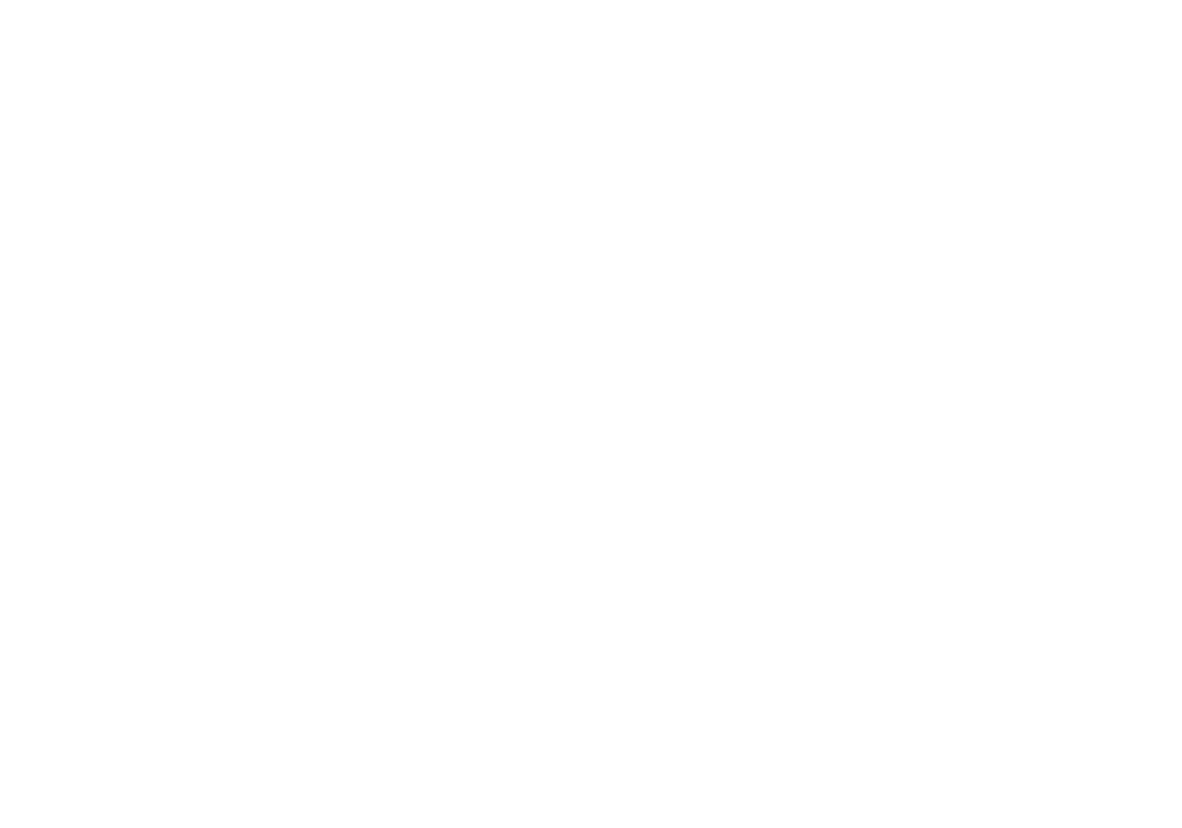 Run Bird Logo - Summer 2019