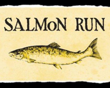Salmon Run Logo - Salmon Run Petit Noir