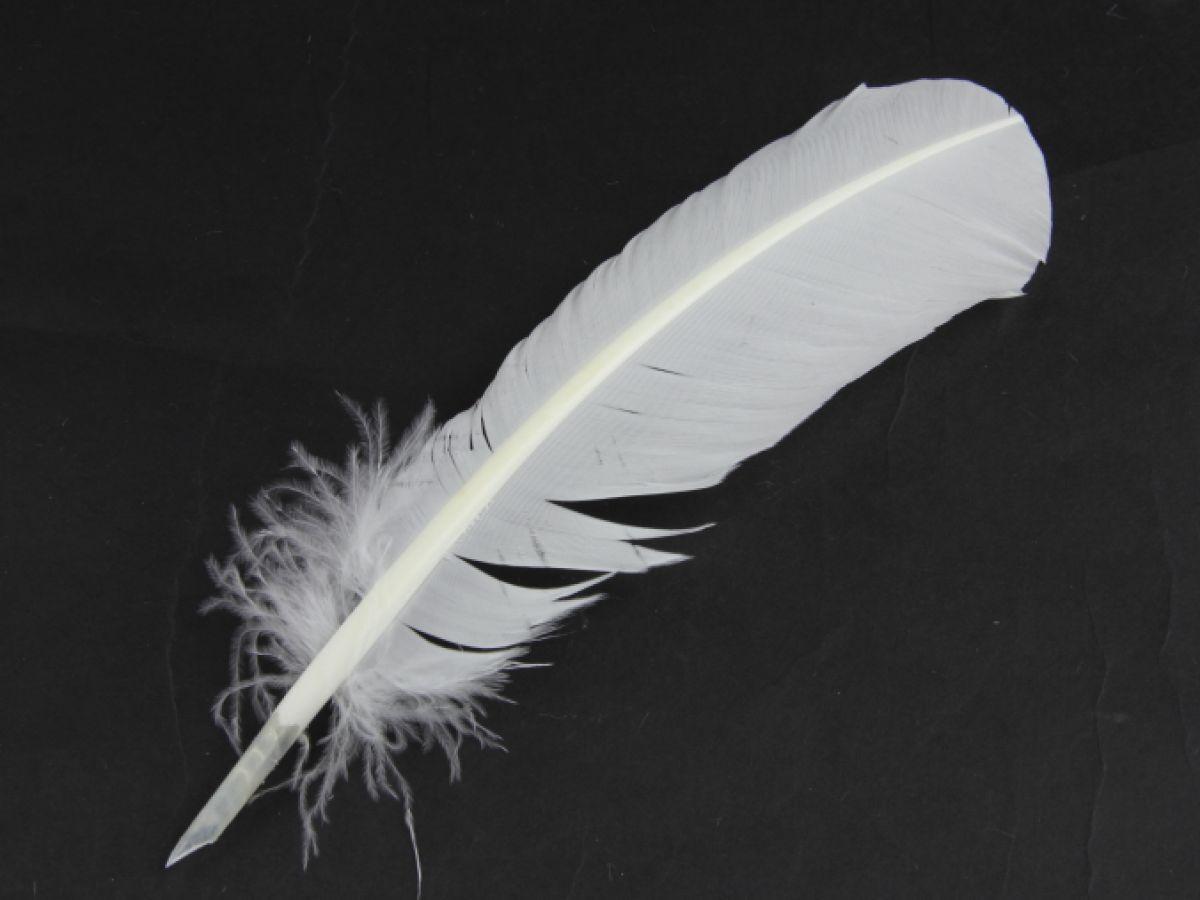 Quill in Hand Logo - Feather Pens. Traditional Hand Cut Quill