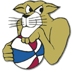 Cougar Basketball Logo - Carolina Cougars Primary Logo - American Basketball Association (ABA ...