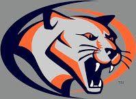 Cougar Basketball Logo - Logos - Manson Northwest Webster School District - Manson & Barnum, Iowa
