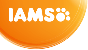 Iams Logo - IAMS - Pet Food for Cat & Dogs