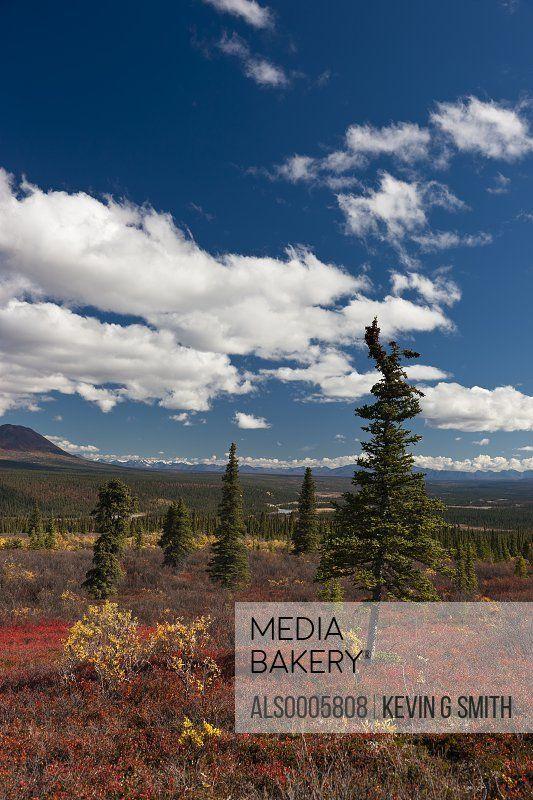 Colorful Alaska Logo - Mediabakery by Alaska Stock view of colorful tundra