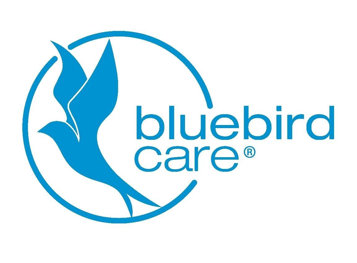 Blue Bird Logo - Bluebird Logo - Blue on White